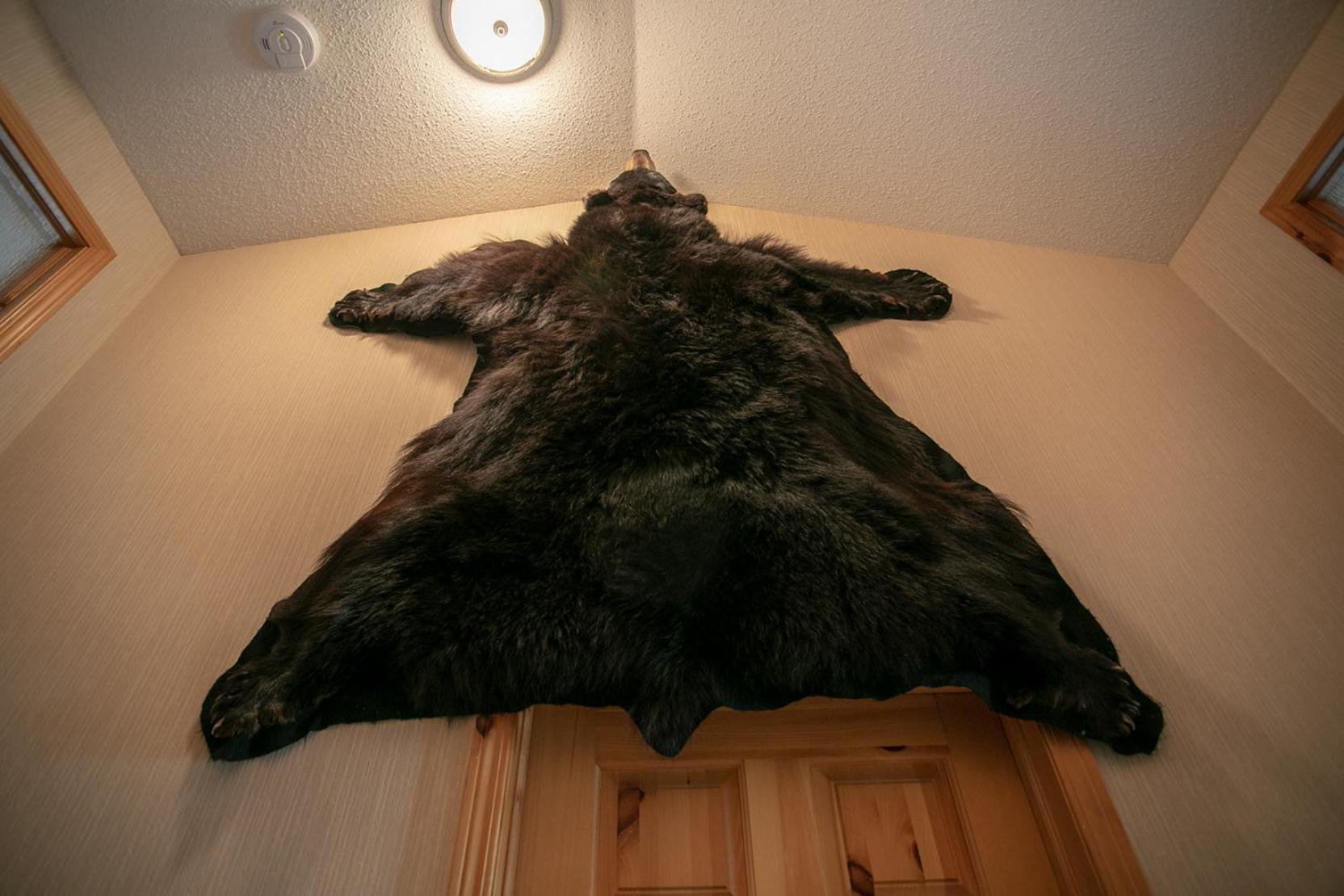 Banff Wood Lodge キャンモア エクステリア 写真